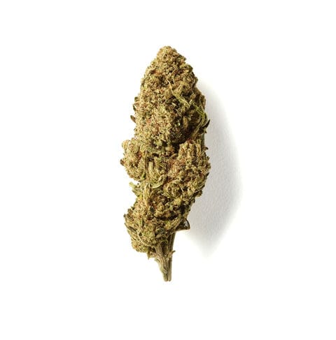 Fruit Cake | CBD Flower | Glasshouse + Light Support | HempHash | 15% CBD