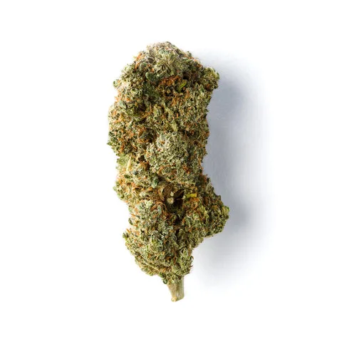 Shop Primary Image Shop Primary Image