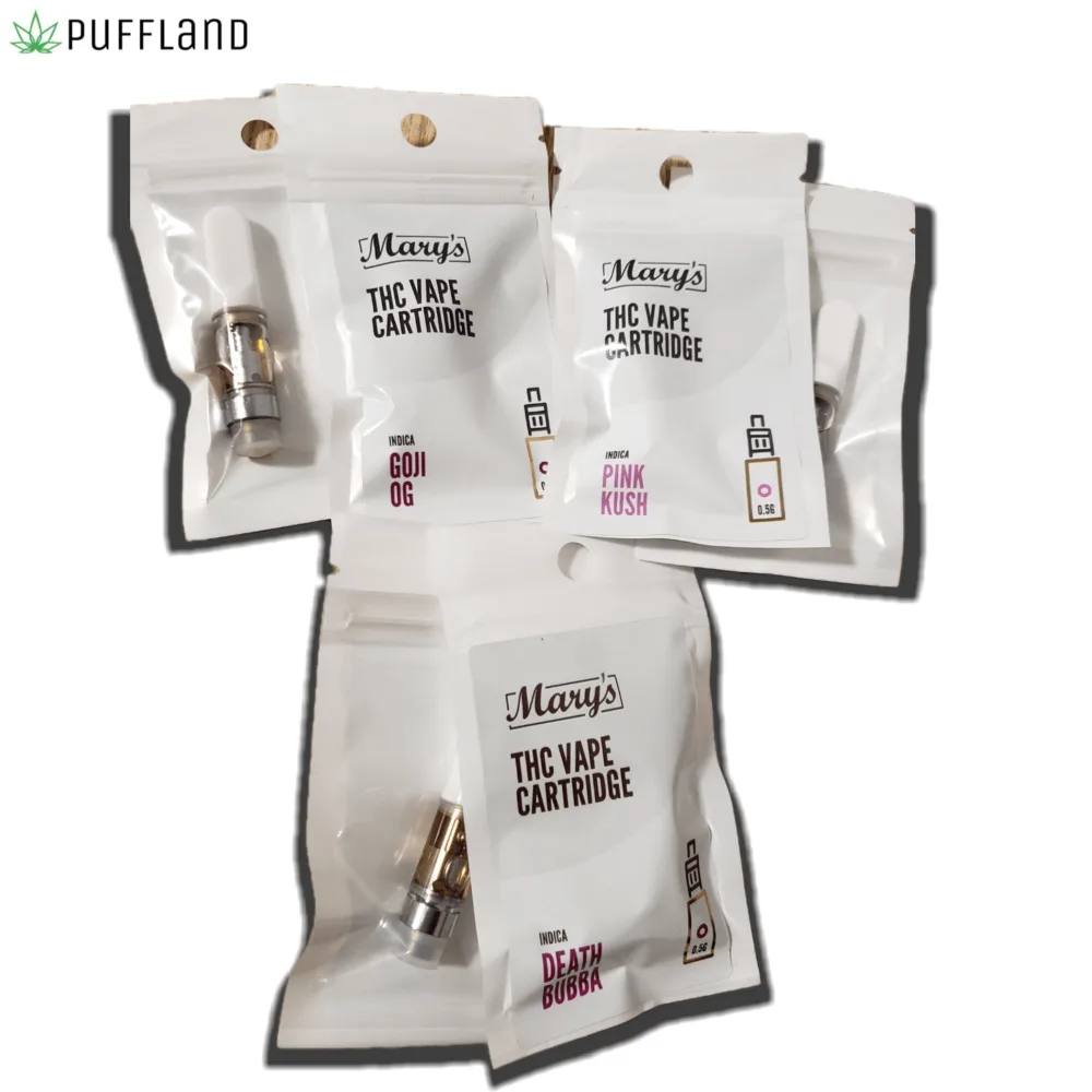 Shop Primary Image