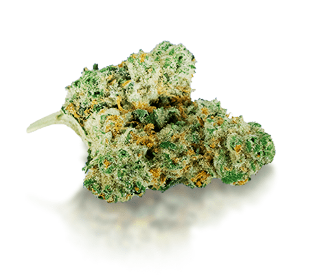 Amnesia Haze Marijuana Strain