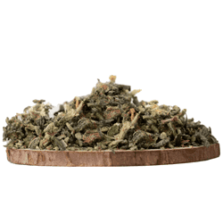Moby Dick Hybrid Strains – Cannabis Shake