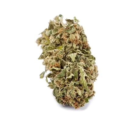 Pineapple Express Cannabis Strain