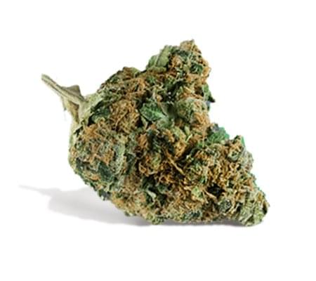 Skunk #1 Marijuana Strain