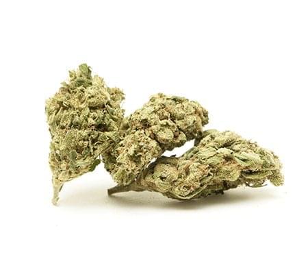 Vanilla Kush Marijuana Strain
