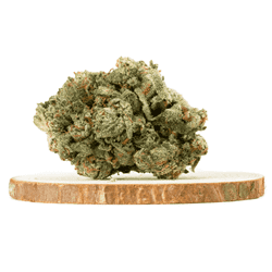 Gorilla Breath AAAA+ by kootenay-craft
